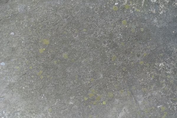 Cost of Slab Staining Service in Camas